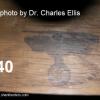 40