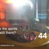 44